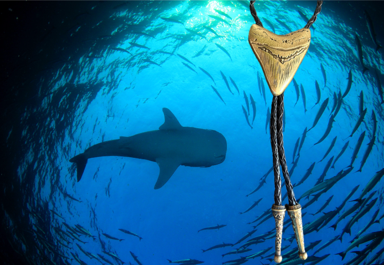 Sharks Tooth Bolo Tie