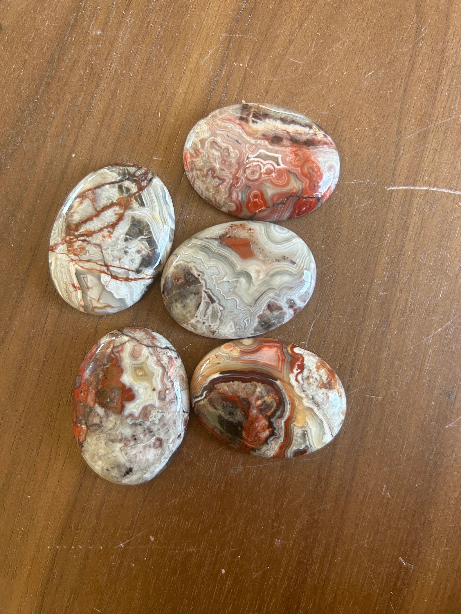 Crazy Lace Agate Bolo Tie