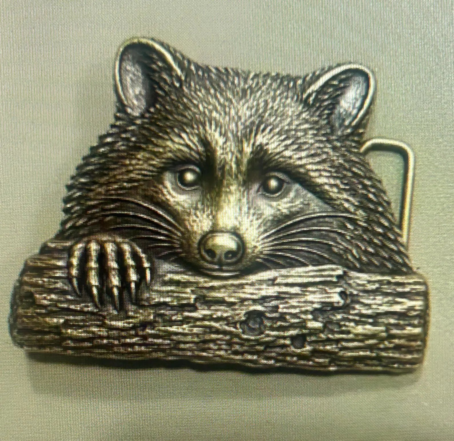 Wild Raccoon Belt Buckle