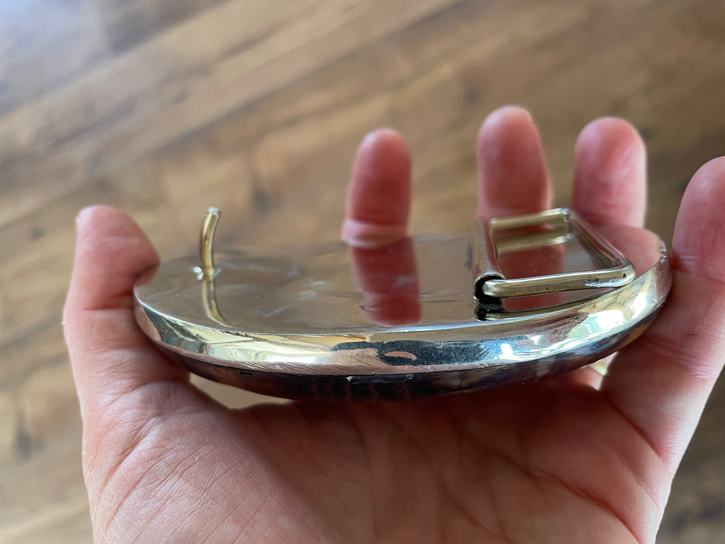 Real Encased Scorpion Belt Buckle