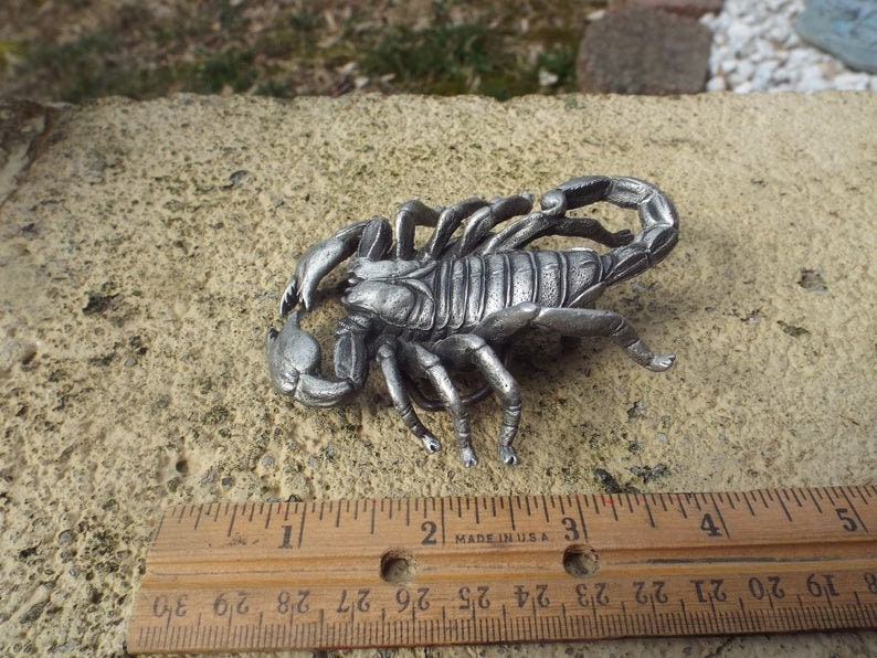 Silver Scorpion Buckle