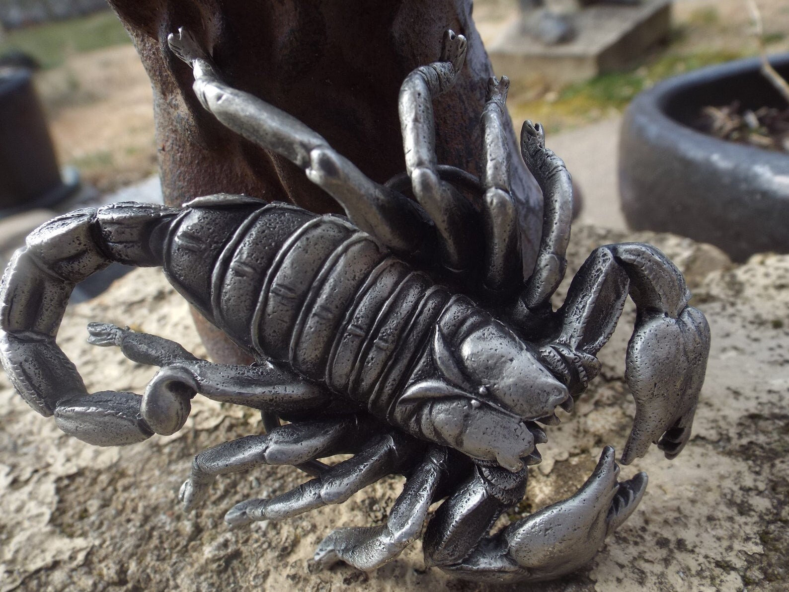 Silver Scorpion Buckle