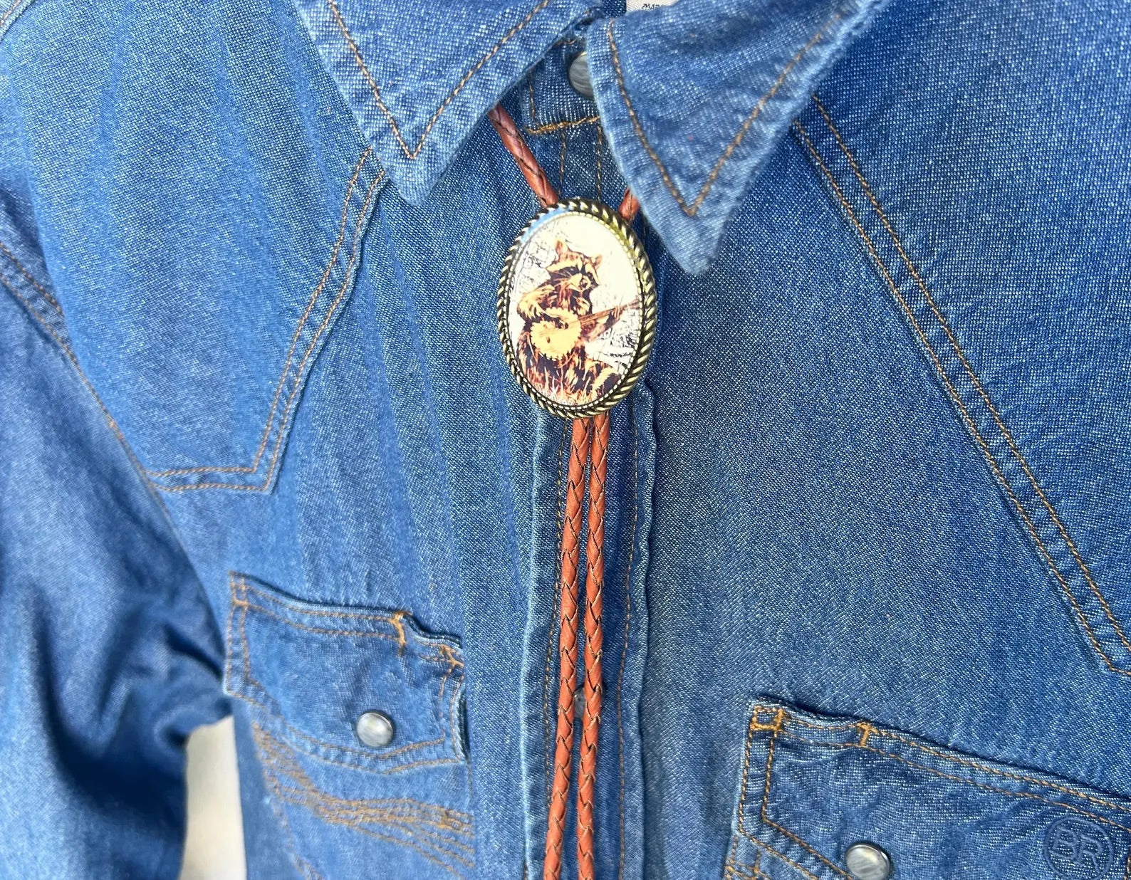 Banjo Raccoon Bolo Tie - White Background