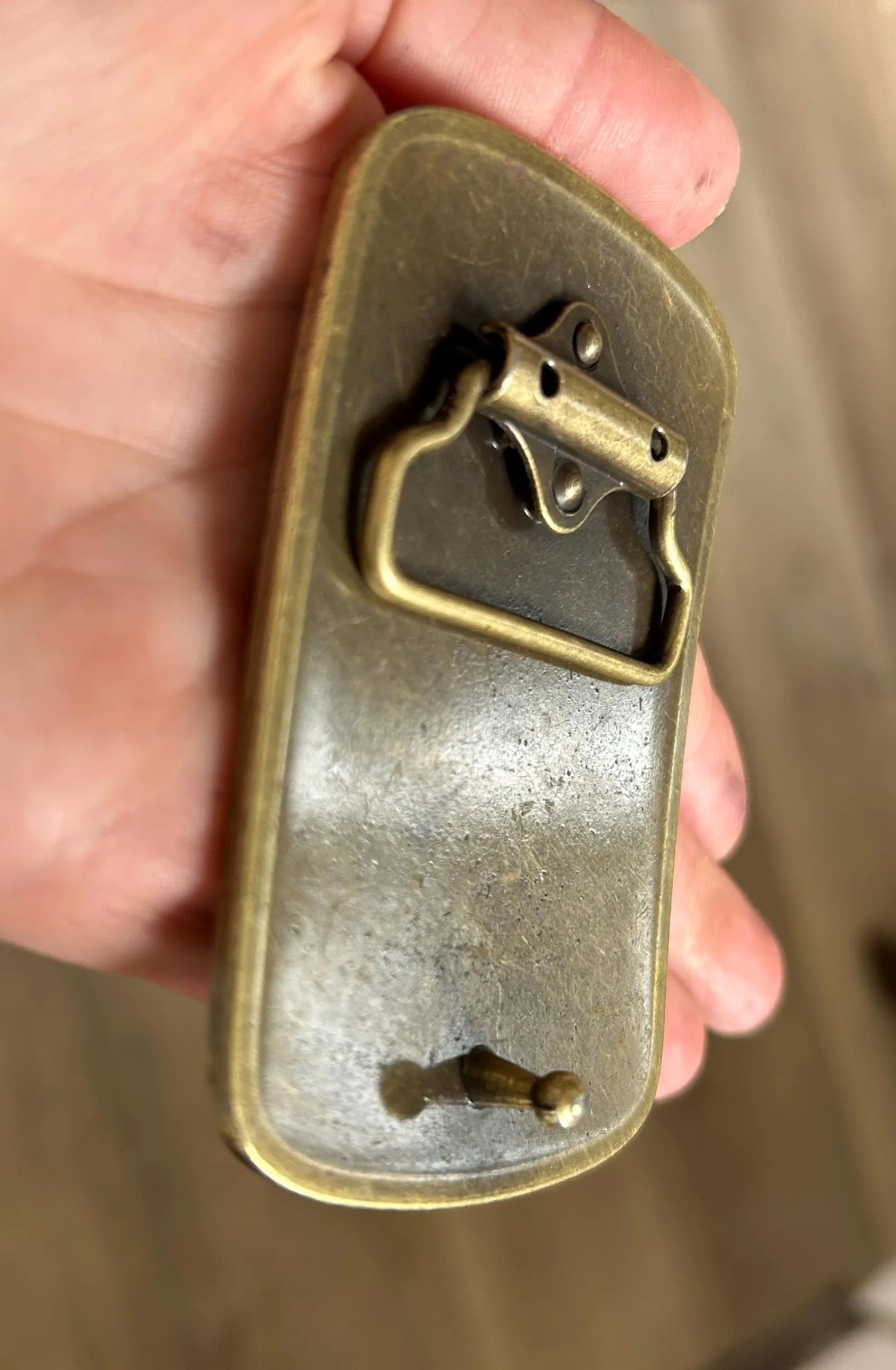 Rectangle Banjo Raccoon Belt Buckle