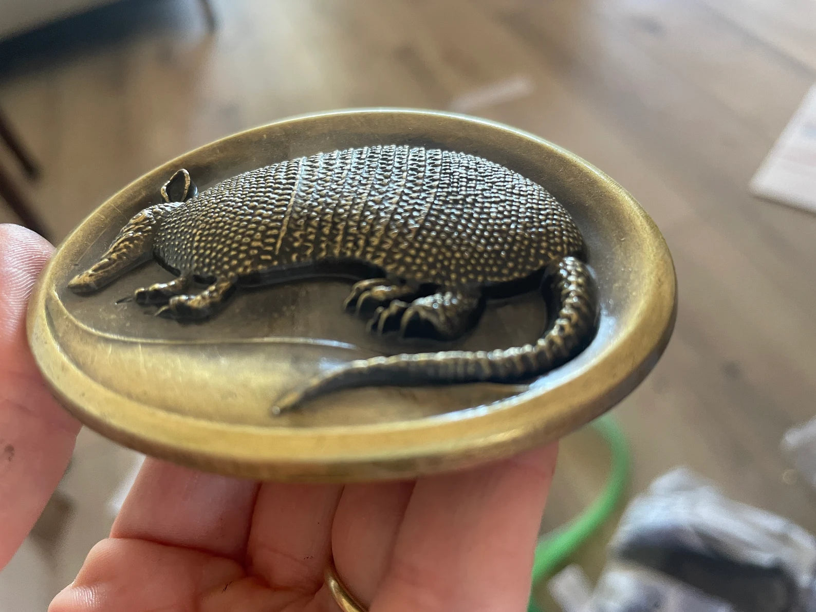 Armadillo belt shop buckle