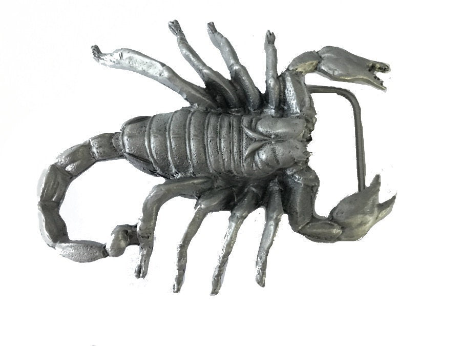Silver Scorpion Buckle