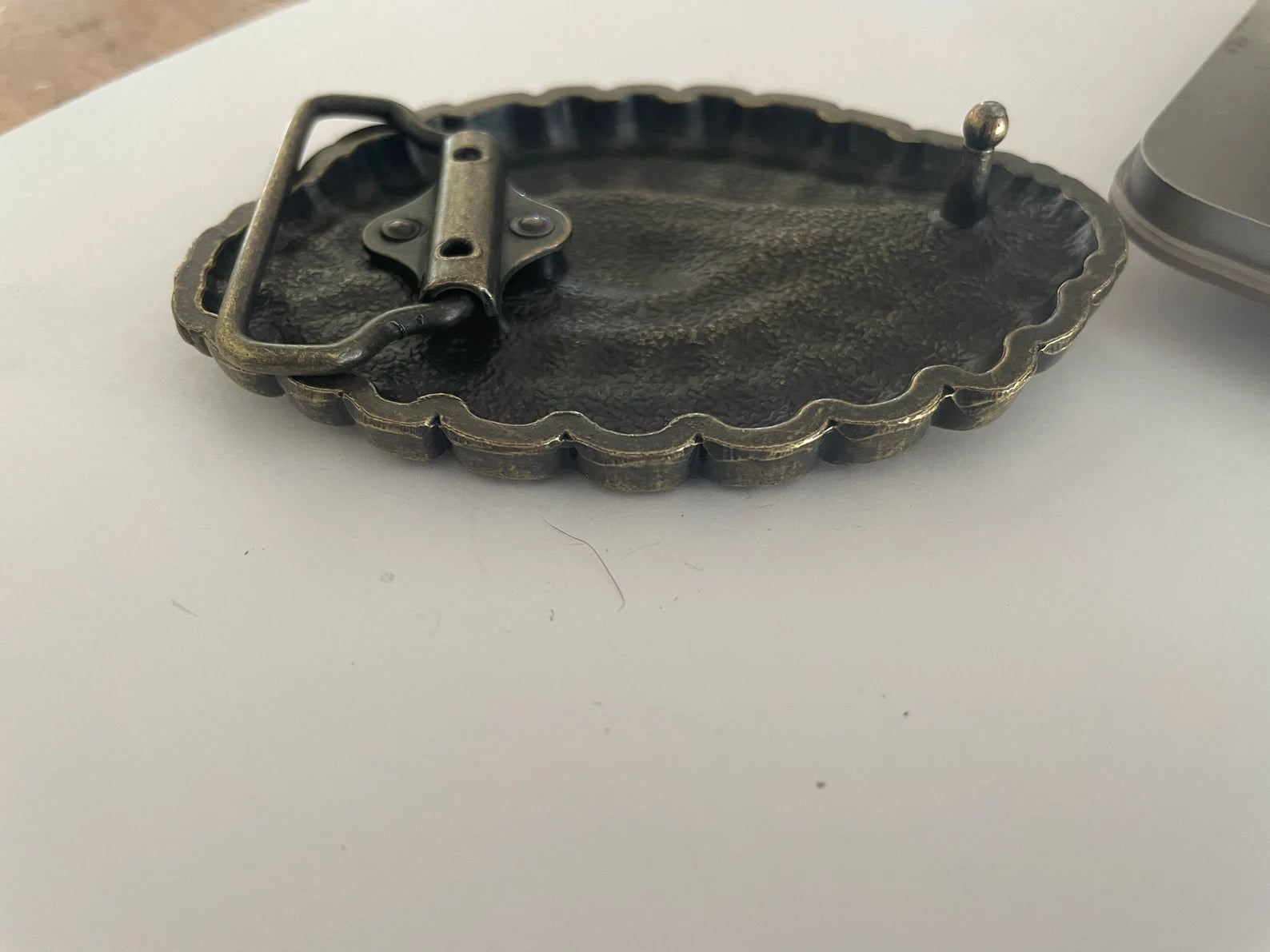 Alligator Eye Belt Buckle