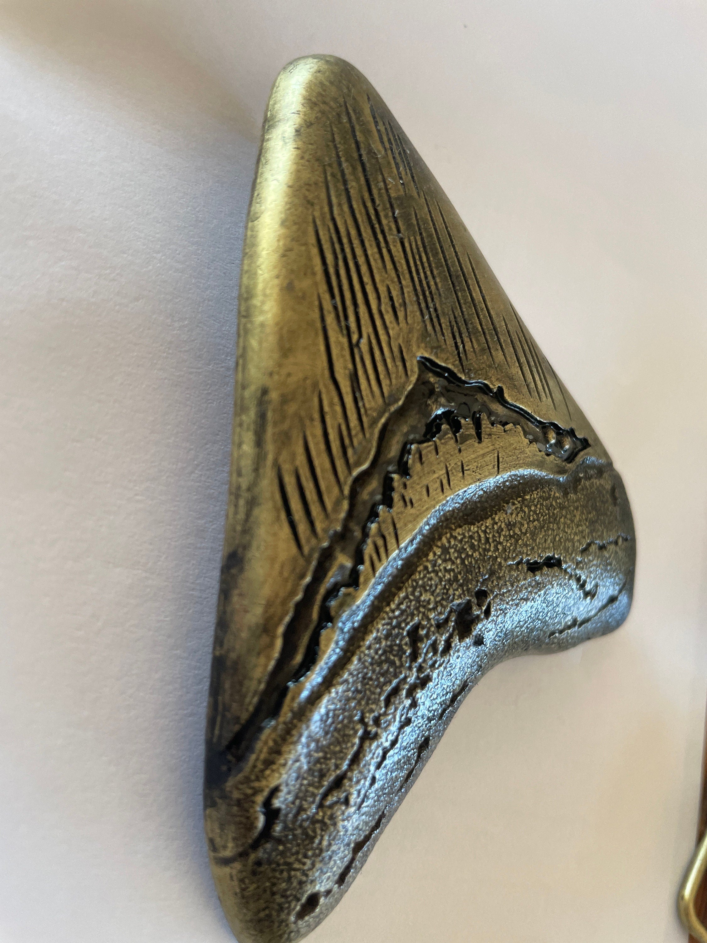 Large Megalodon Tooth Belt buckle