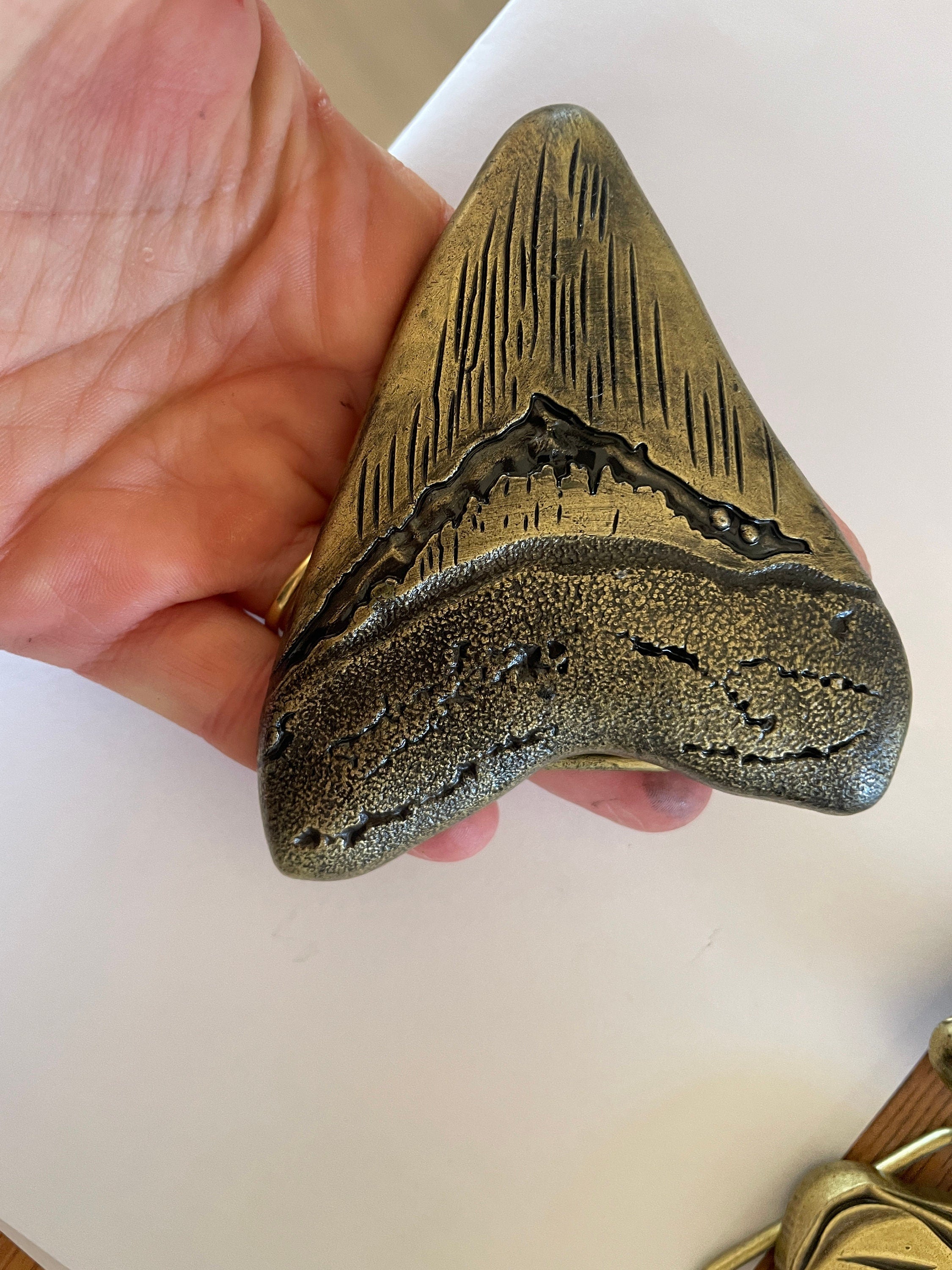 Large Megalodon Sharks Tooth Belt buckle - Fossil Great White Tiger Fishing Fisherman Cage Diving Dinosaur Scary Ocean Week Funny Gift Idea